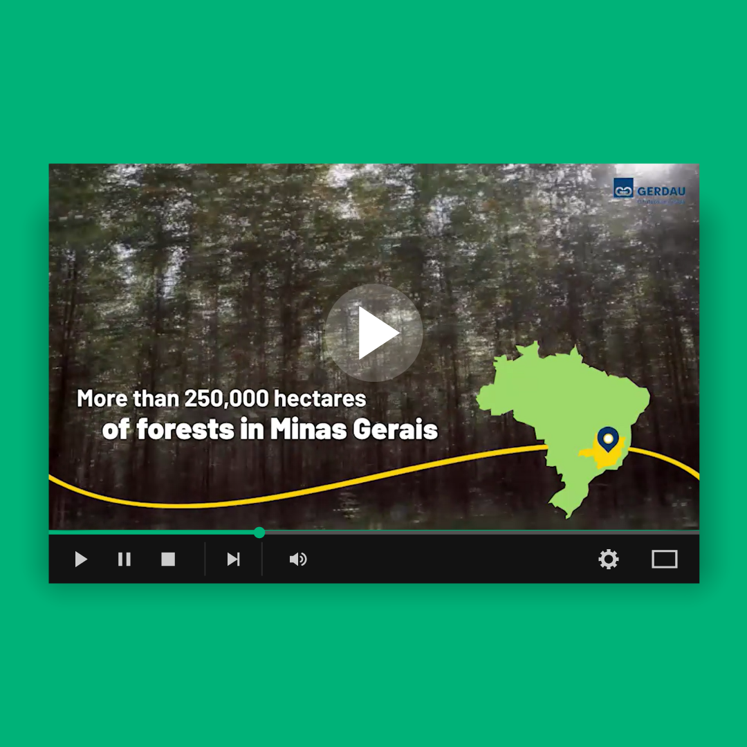 Vídeo: Biocoke, projeto da Gerdau